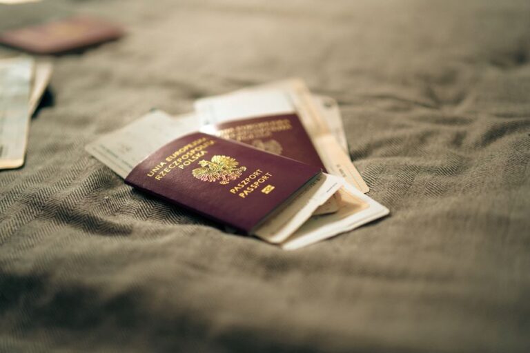 immigration lawyer