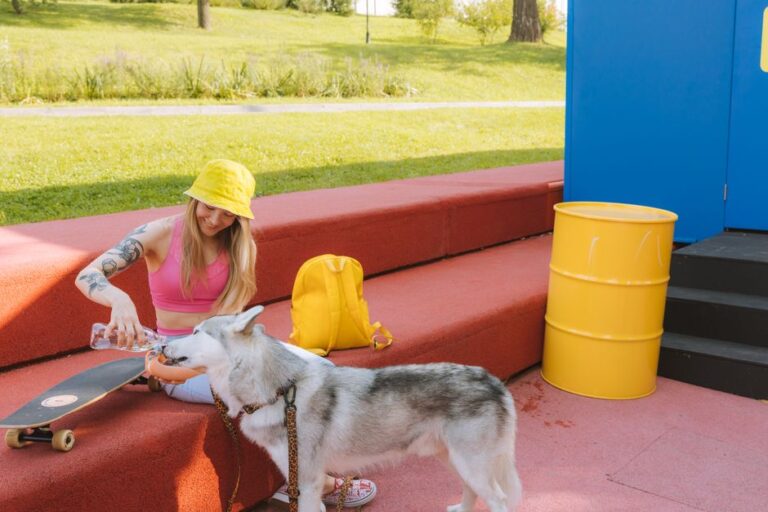 pet boarding facility