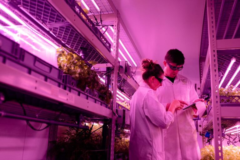 vertical farming technology