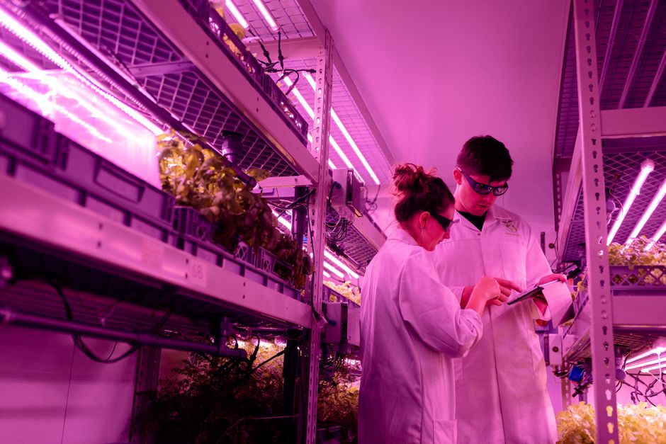 vertical farming technology