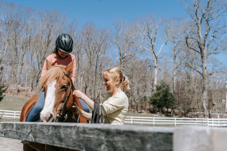 horse riding lessons